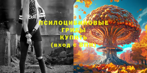 гашик Алзамай