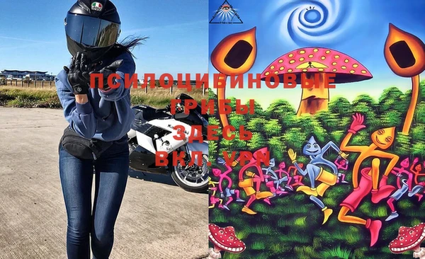 прущая мука Козловка
